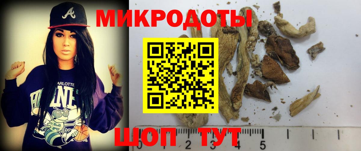 Псилоцибиновые грибы MAGIC MUSHROOMS  Псилоцибиновые грибы GOLDEN TEACHER  Звенигород  Вход с VPN 